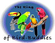 The Ring of Bird Buddies